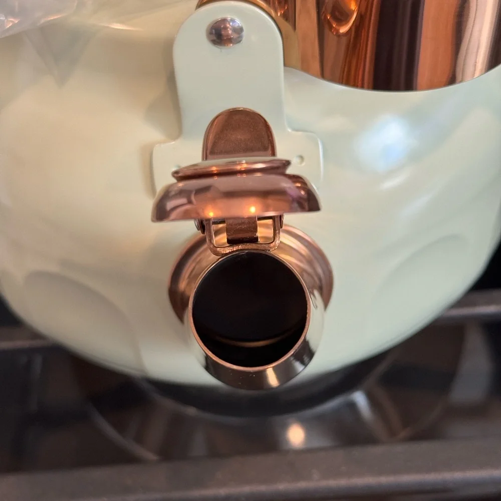 Hearth & Hand 2qt Stainless Steel Arch Cutout Teapot Serene Green- RARE FIND